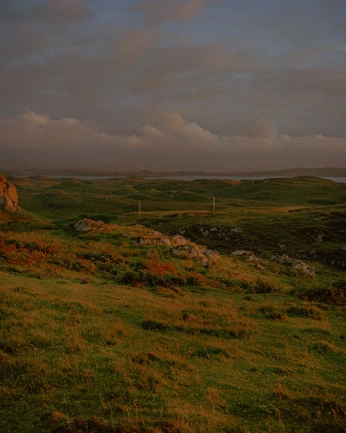A cover of "homey nature" cluster. The owner is isolambe. The cluster consists of 10 elements.