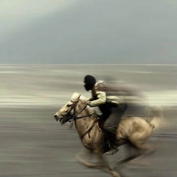 A cover of "maverick" cluster. The owner is horrorshops. The cluster description is "— nico.". The cluster consists of 86 elements.