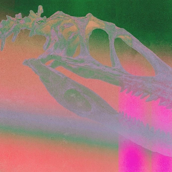 A cover of "Dino" cluster. The owner is hieph. The cluster consists of 25 elements.