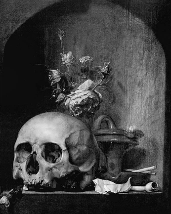 A cover of "Hellbore" cluster. The owner is louisemota. The cluster consists of 8 elements.