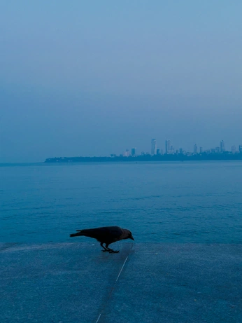 A cover of "Street photography" cluster. The owner is missredrose. The cluster consists of 3 elements.