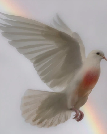 A cover of "Medieval type shi" cluster. The owner is blurtgerbert. The cluster consists of 25 elements.