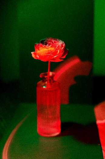 A cover of "Color pictures" cluster. The owner is nana666. The cluster consists of 1 element.