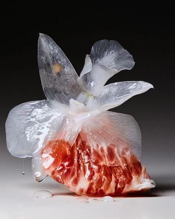 A cover of "textures !!" cluster. The owner is nyrio. The cluster consists of 39 elements.