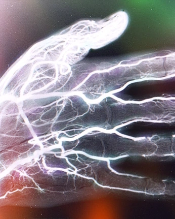 A cover of "Curated" cluster. The owner is th3fr3quency. The cluster consists of 74 elements.