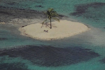 A cover of "island living" cluster. The owner is angelinaa. The cluster consists of 35 elements.