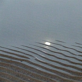 A cover of "texture" cluster. The owner is motttiva. The cluster consists of 16 elements.