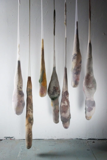 A cover of "MANGO COLGADO" cluster. The owner is marcasasmadrid. The cluster consists of 14 elements.