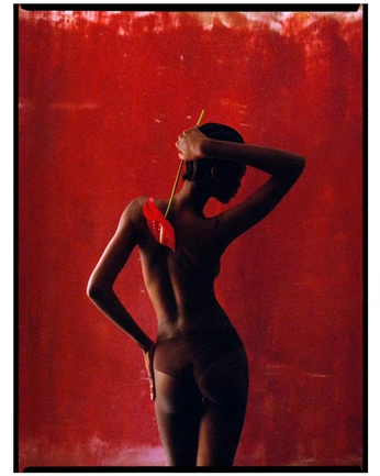 A cover of "Valentain v2" cluster. The owner is borysenkot. The cluster consists of 17 elements.