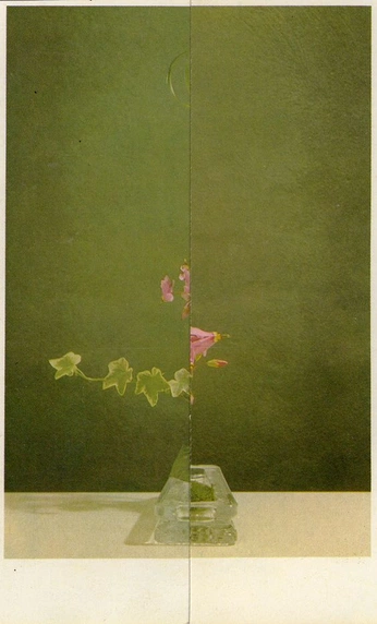 A cover of "&more" cluster. The owner is bharrg. The cluster consists of 10 elements.