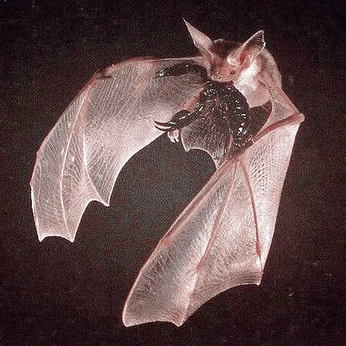 A cover of "// achter märz" cluster. The owner is goldihni. The cluster consists of 5 elements.