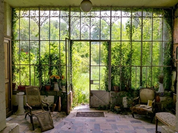 A cover of "Abandoned & Reclaimed" cluster. The owner is everyday.almanac. The cluster consists of 36 elements.