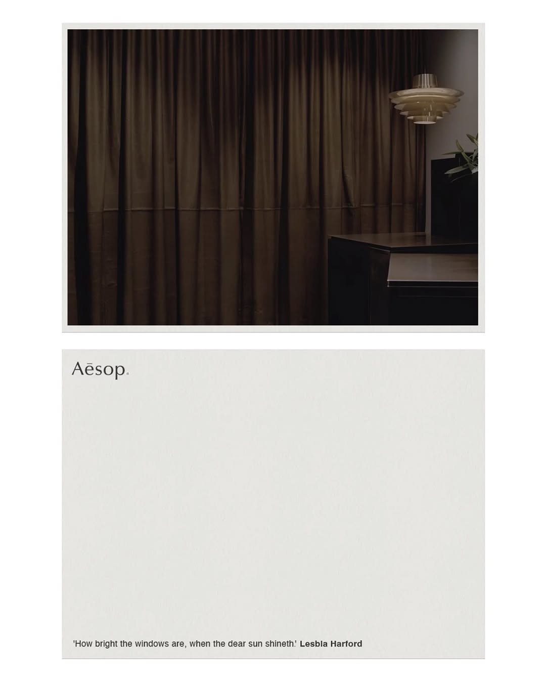 Art direction and photography for Aesop, featuring a quote by poet Lesbia Harford.