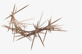 A cover of "sharp" cluster. The owner is bbisamess. The cluster consists of 10 elements.