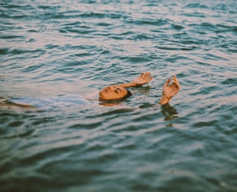 A cover of "jello" cluster. The owner is gracegaede. The cluster consists of 7 elements.