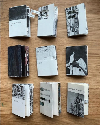 A cover of "Zines" cluster. The owner is rissy. The cluster consists of 17 elements.