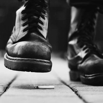 A cover of "my vibe" cluster. The owner is feral.d0ll. The cluster description is "🌈🖤🦇🚬". The cluster consists of 29 elements.