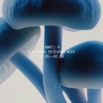 A cover of "Brand Design" cluster. The owner is d. The cluster consists of 59 elements.