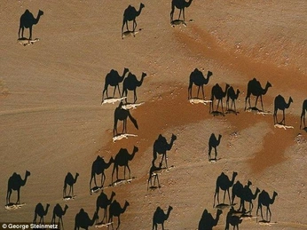 A cover of "pretty things" cluster. The owner is tohlejesara. The cluster consists of 3 elements.