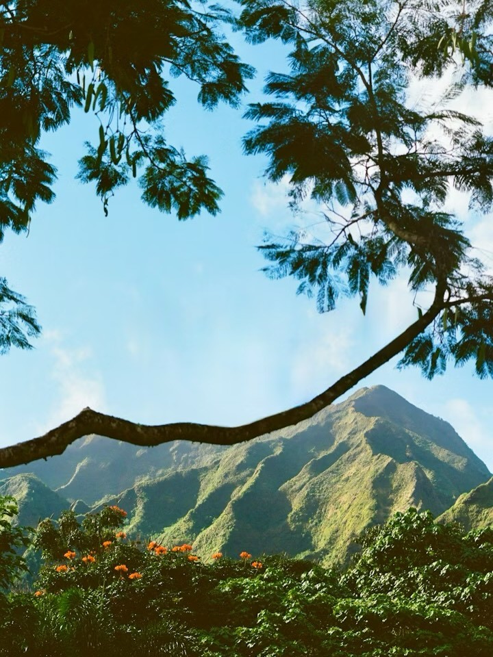 nature