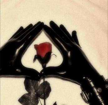 A cover of "Ig" cluster. The owner is unabsurdity. The cluster consists of 2 elements.