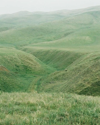 A cover of "Fothograf" cluster. The owner is altzer. The cluster consists of 16 elements.