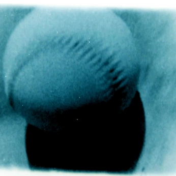 A cover of "NLBM" cluster. The owner is hrahlquist. The cluster consists of 309 elements.