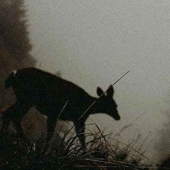 A cover of "Unnamed DnD Character" cluster. The owner is scrxpz. The cluster consists of 74 elements.