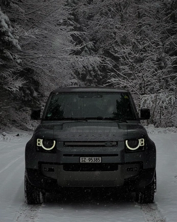 A cover of "Cars" cluster. The owner is wsholtam. The cluster consists of 2 elements.