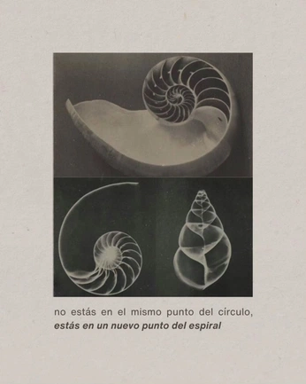 A cover of "DP-3" cluster. The owner is vantran. The cluster consists of 15 elements.