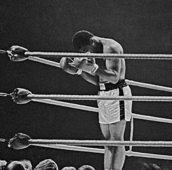 A cover of "Aesthetic" cluster. The owner is fojcik. The cluster consists of 143 elements.