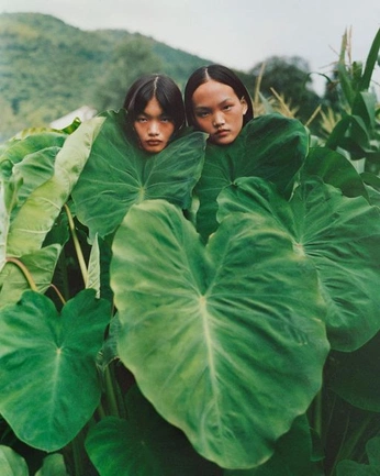 A cover of "camera" cluster. The owner is duua. The cluster consists of 1 element.