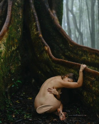 A cover of "nature" cluster. The owner is uwuuwu. The cluster consists of 8 elements.