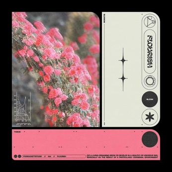 A cover of "Equestrian Gardens" cluster. The owner is harty. The cluster consists of 24 elements.