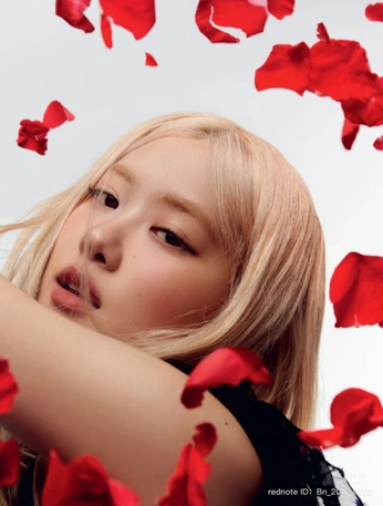 A cover of "Super wide + air blower" cluster. The owner is chillinn.102. The cluster consists of 58 elements.