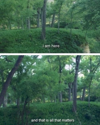 A cover of "peace" cluster. The owner is xk513z. The cluster consists of 2 elements.