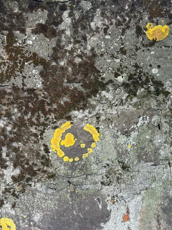 A cover of "asmr visual" cluster. The owner is giulagiula. The cluster consists of 3 elements.