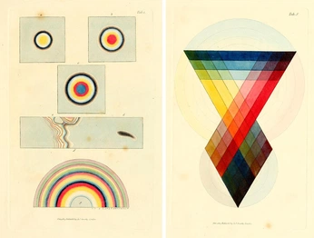 A cover of "Everything" cluster. The owner is awipnz. The cluster consists of 43 elements.