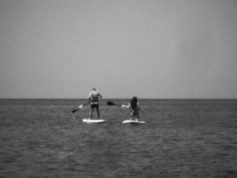 A cover of "Fun" cluster. The owner is chloechang. The cluster consists of 16 elements.