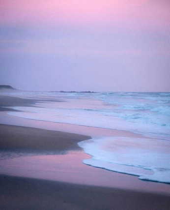 A cover of "Louve / atelier45" cluster. The owner is pierra.design. The cluster consists of 7 elements.