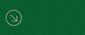 A cover of "UX/UI features" cluster. The owner is nuerdaa. The cluster consists of 1 element.