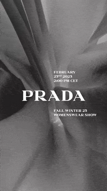 A cover of "amazonia apresentation" cluster. The owner is zurirosalino. The cluster consists of 5 elements.