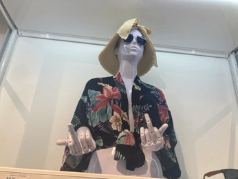 A cover of "Idk" cluster. The owner is lobke. The cluster consists of 11 elements.