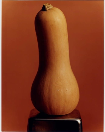 A cover of "autumn" cluster. The owner is beatriiizzzzz. The cluster consists of 38 elements.