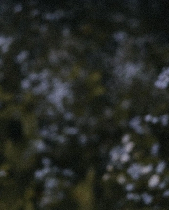 A cover of "texture" cluster. The owner is andsizov. The cluster consists of 25 elements.