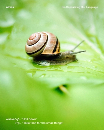 A cover of "small creatures" cluster. The owner is snailmonster. The cluster consists of 26 elements.