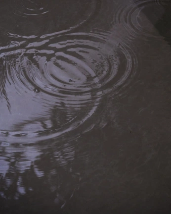 A cover of "rain" cluster. The owner is daily.moodlist. The cluster consists of 11 elements.