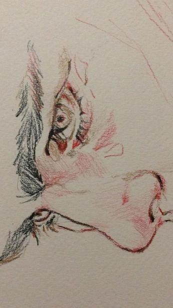 A cover of "Lapiz" cluster. The owner is camilmoyano. The cluster consists of 4 elements.