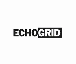 ECHOGRID avatar