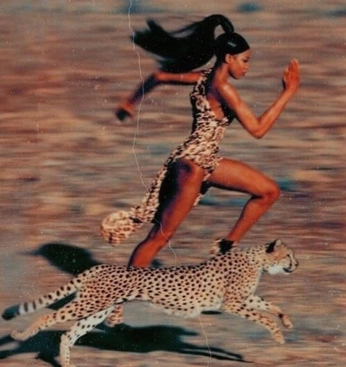 A cover of "ASICS MOOD" cluster. The owner is samiseiff. The cluster consists of 6 elements.